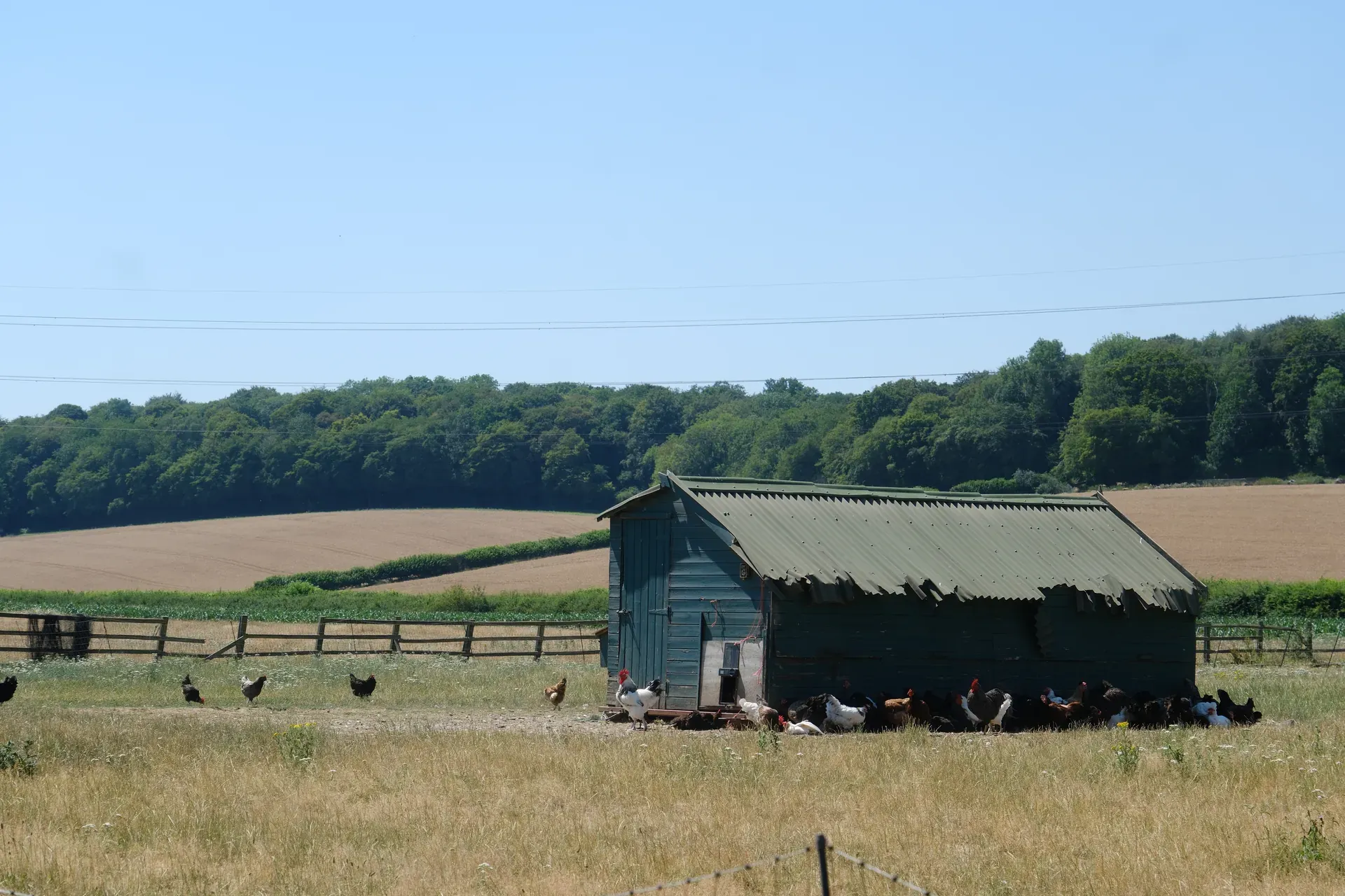 A vineyard tour and tasting