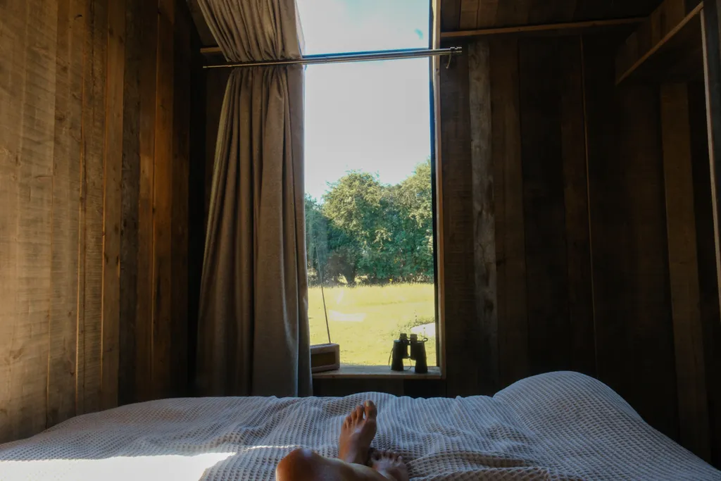 Bare feet on a cabin bed, looking out of a tall window onto fields and trees